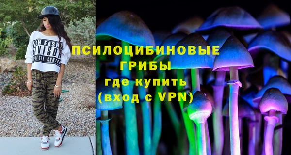 мяу мяу мука Михайловка