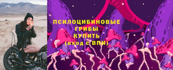 мяу мяу мука Михайловка