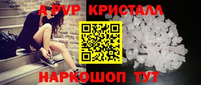 стаф Дубна