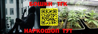 гидра Берёзовский