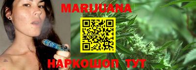 стаф Дубна
