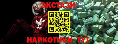 стаф Дубна