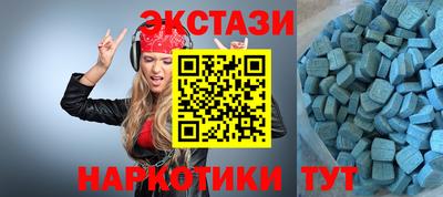 стаф Дубна